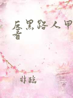 反黑路人甲在线看