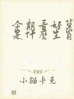 今期看好莫放过是什么生肖