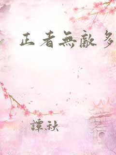 正者无敌多少集