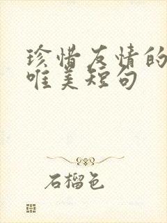 珍惜友情的句子唯美短句
