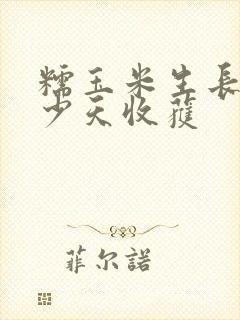 糯玉米生长期多少天收获