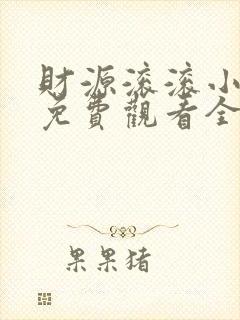 财源滚滚小厨神免费观看全集高清