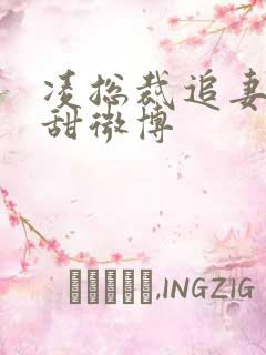 凌总裁追妻有点甜微博