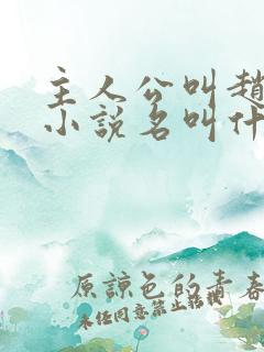 主人公叫赵旭的小说名叫什么