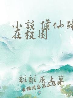 小说 修仙归来在校园