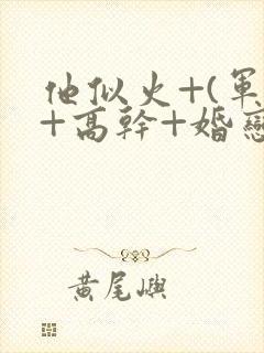 他似火+(军婚+高干+婚恋)全文在线阅读