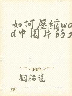 如何压缩word中图片的大小