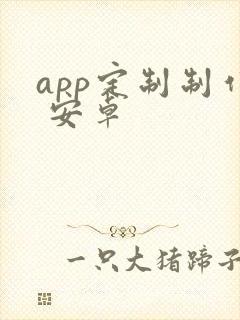 app定制制作 安卓