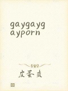 gaygaygayporn