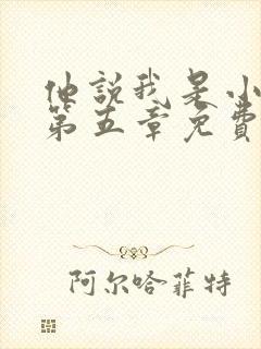 他说我是小妖精第五章免费阅读