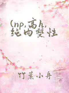 (np,高h,纯肉双性