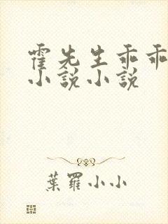 霍先生乖乖宠我小说小说