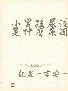小男孩尿液发红是什么原因引起的