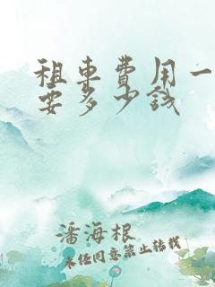 租车费用一天需要多少钱