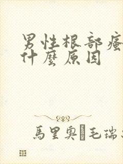 男性根部瘙痒是什么原因