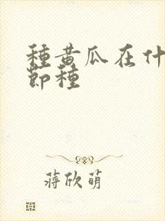 种黄瓜在什么季节种