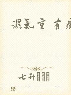 湿气重 有痰