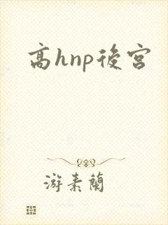高hnp后宫