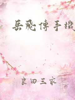 岳飞传手机版