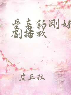 爱来的刚好电视剧播放