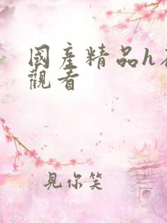 国产精品h在线观看