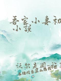 吾家小妻初养成 小说