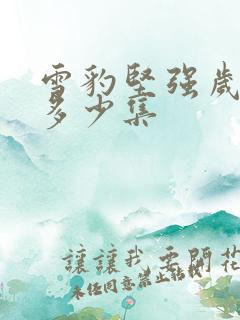 雪豹坚强岁月共多少集