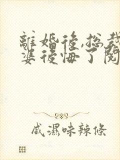 离婚后,总裁老婆后悔了阅读