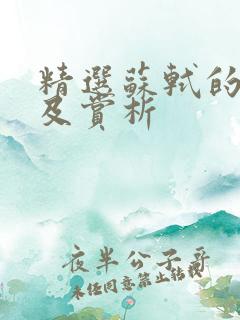 精选苏轼的诗词及赏析