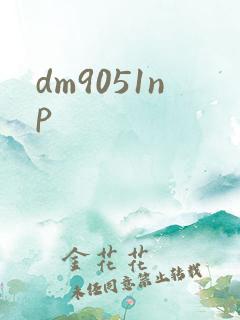 dm9051np