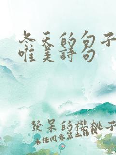 冬天的句子短句唯美诗句