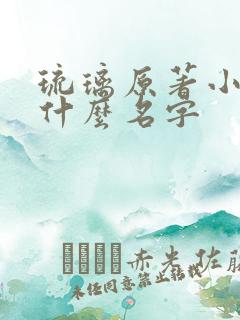 琉璃原著小说叫什么名字