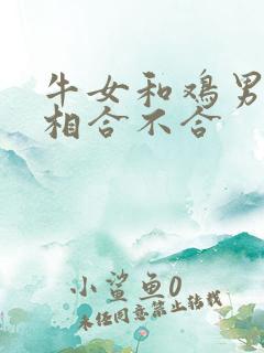 牛女和鸡男的属相合不合