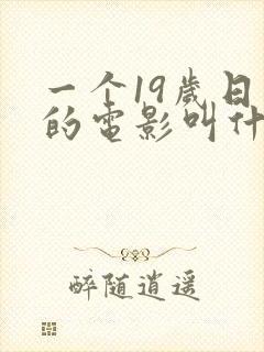 一个19岁日记的电影叫什么