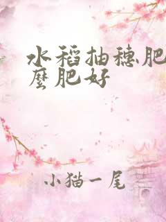 水稻抽穗肥用什么肥好