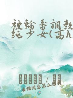 被轮番调教的清纯少女(高h