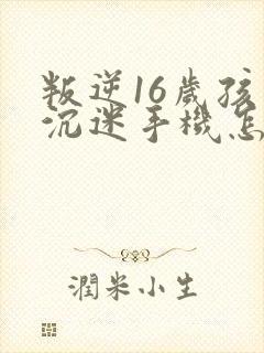 叛逆16岁孩子沉迷手机怎么办