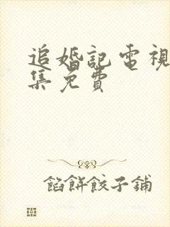 追婚记电视剧全集免费