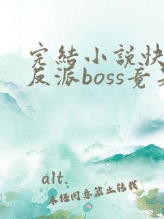 完结小说快穿:反派boss竟是我自己