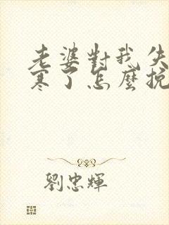 老婆对我失望心寒了怎么挽回的话