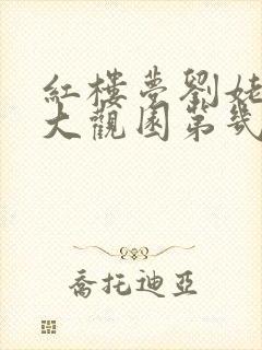 红楼梦刘姥姥进大观园第几集
