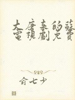大唐来的苏无名电视剧免费观看全集