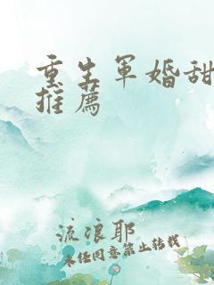 重生军婚甜宠文推荐