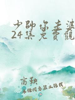 少帅你老婆又跑24集免费观看