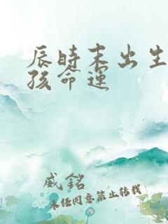 辰时末出生的男孩命运