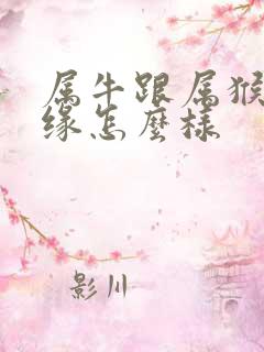 属牛跟属猴的姻缘怎么样