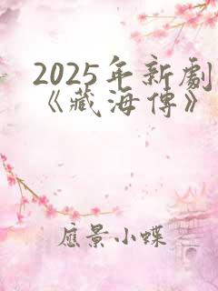 2025年新剧《藏海传》