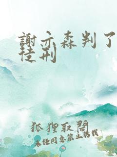 谢亦森判了几年徒刑