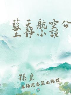 蓝天航空公司的王静小说
