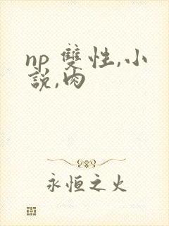 np 双性,小说,肉